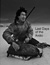 Last Days of the Arctic